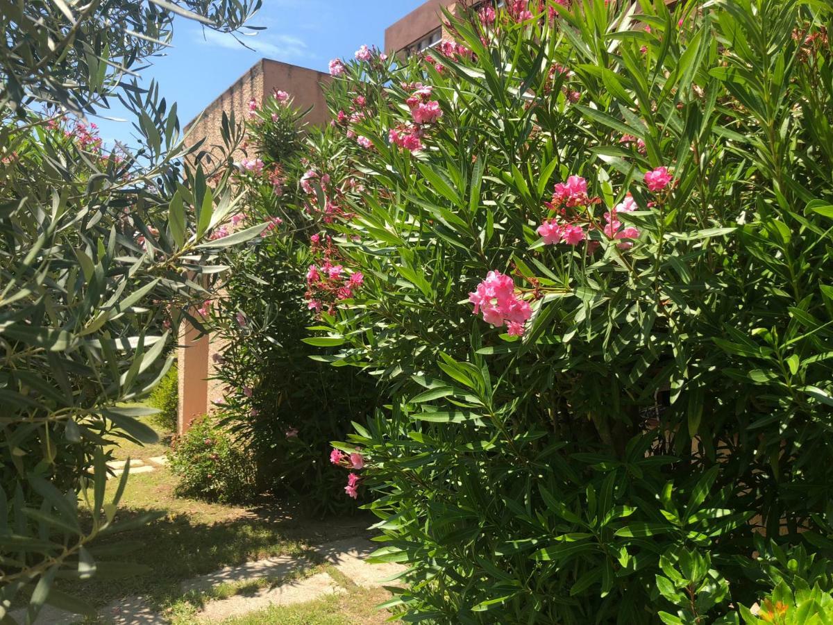 Bilocali Residenza Mediterranea קניגיונה מראה חיצוני תמונה